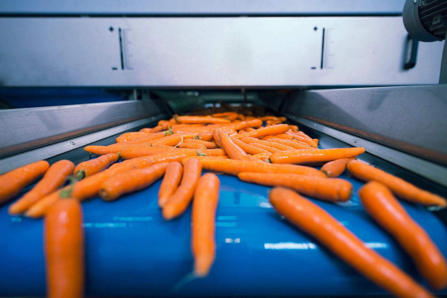 Food Processsing Industry