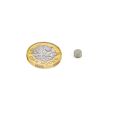 5mm dia x 3mm thick N42 Neodymium Magnet - 0.7kg Pull