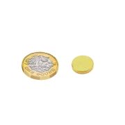 12mm dia x 2mm thick Gold Plated Therapy Magnets - Dimple On North Face - 1.3kg Pull