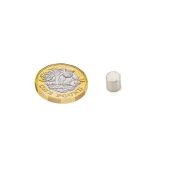 6mm dia x 6mm thick N42 Neodymium Magnet - 1.3kg Pull
