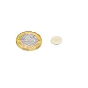 12mm dia x 1mm thick N42 Neodymium Magnet - 0.73kg Pull