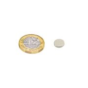 10mm dia x 1.5mm thick N42 Neodymium Magnet - 0.9kg Pull