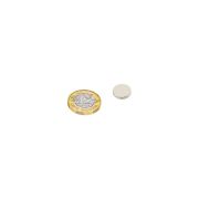 12mm dia x 2mm thick N42 Neodymium Magnet - 1.6kg Pull