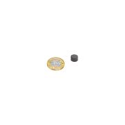 10mm dia x 6mm thick Y10 Ferrite Magnets - 0.114kg Pull