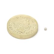 2mm dia x 1mm thick Samarium Cobalt Magnet - 0.06kg Pull
