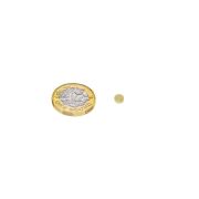 4mm dia x 1.5mm thick Gold Plated Therapy Magnets - Dimple On North Face