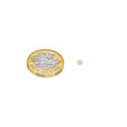 3mm dia x 1mm thick N42 Neodymium Magnet - 0.19kg Pull